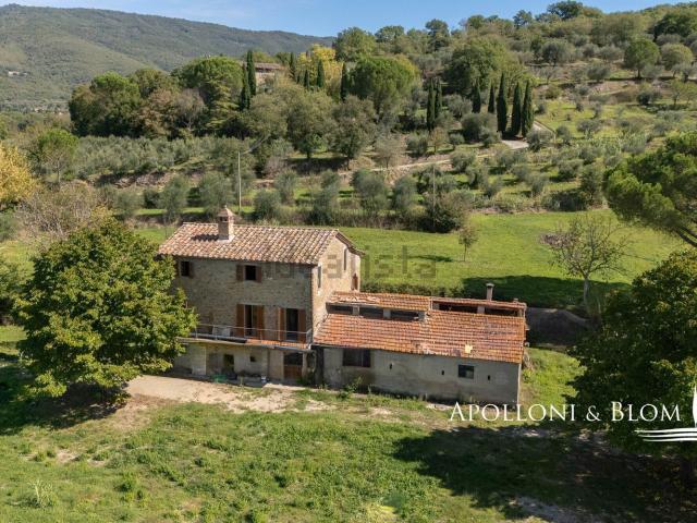 Rustici e casali in vendita di 256 m² in Località Pergo Dogana, 4