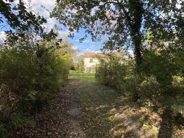 Rustici e casali in vendita di 250 m²