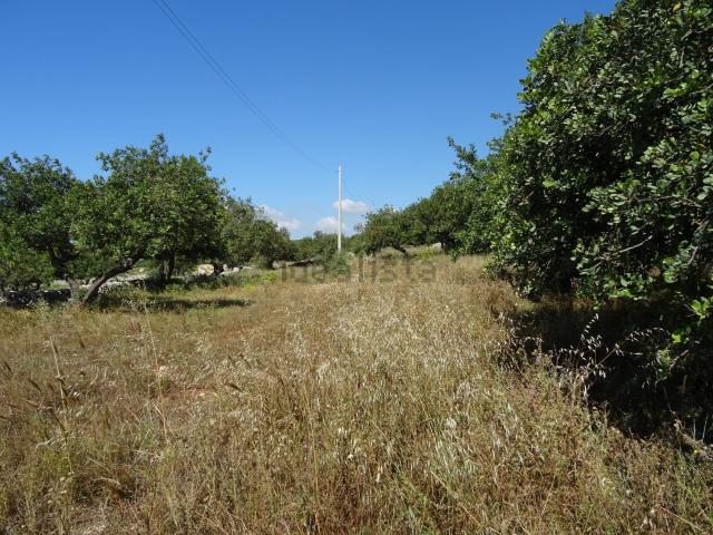 Rustici e casali in vendita di 250 m² in Contrada beneventano