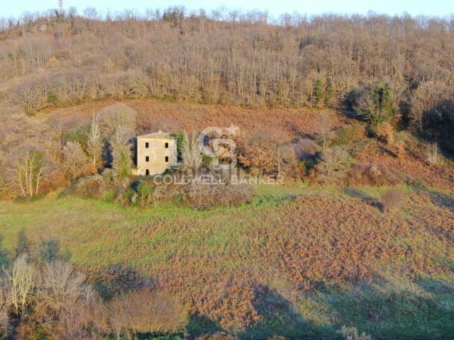 Rustici e casali in vendita di 250 m² in Strada Provinciale 117