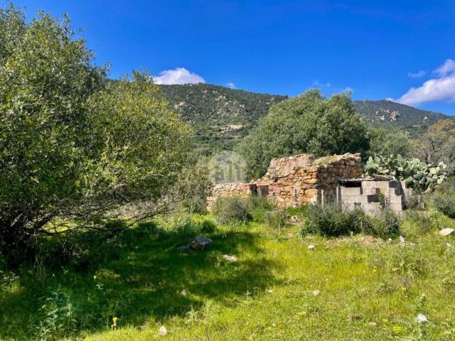 Rustici e casali in vendita di 25350 m² in Via Sa Conca Arrubia, 4