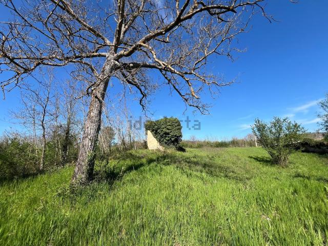 Rustici e casali in vendita di 25 m² in Contrada madonna delle Grazie, 10