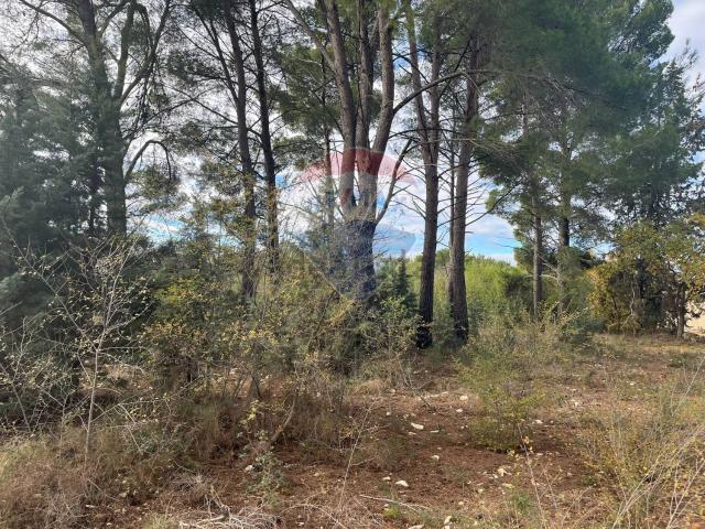 Rustici e casali in vendita di 270 m² in Contrada Troianelli