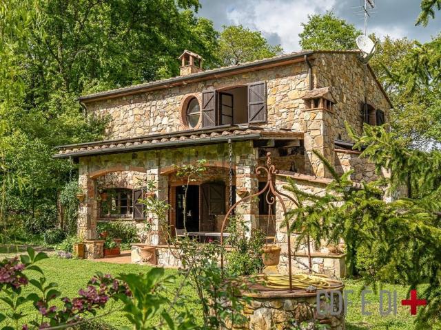 Rustici e casali in vendita di 288 m² in Località la Torna