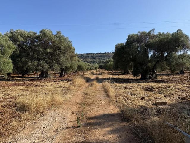 Rustici e casali in vendita di 280 m²