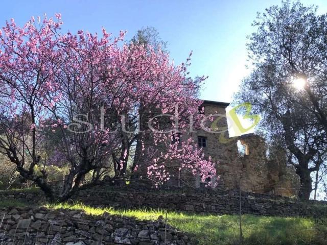 Rustici e casali in vendita di 280 m² in Via Generale Vincenzo Rossi