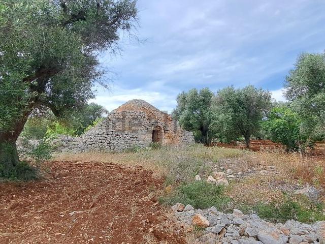 Rustici e casali in vendita di 28 m² in Contrada Favone