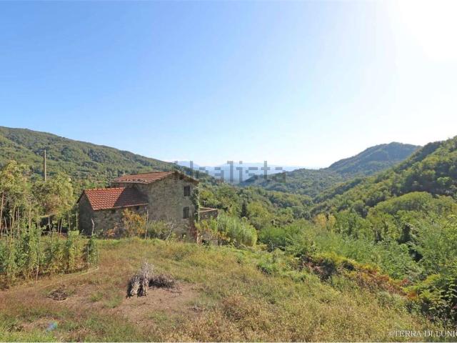 Rustici e casali in vendita di 294 m² in Località Camporella