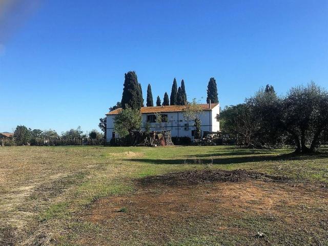 Rustici e casali in vendita di 290 m²
