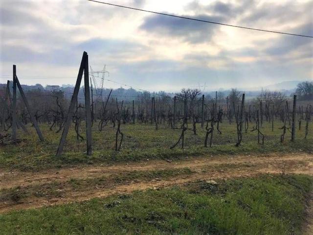 Rustici e casali in vendita di 300 m²