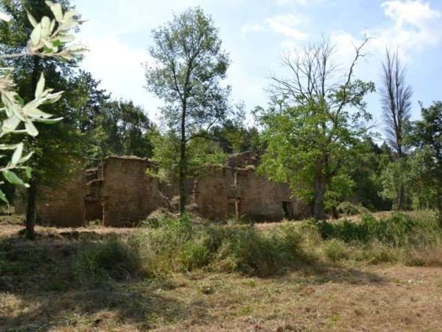 Rustici e casali in vendita di 300 m²
