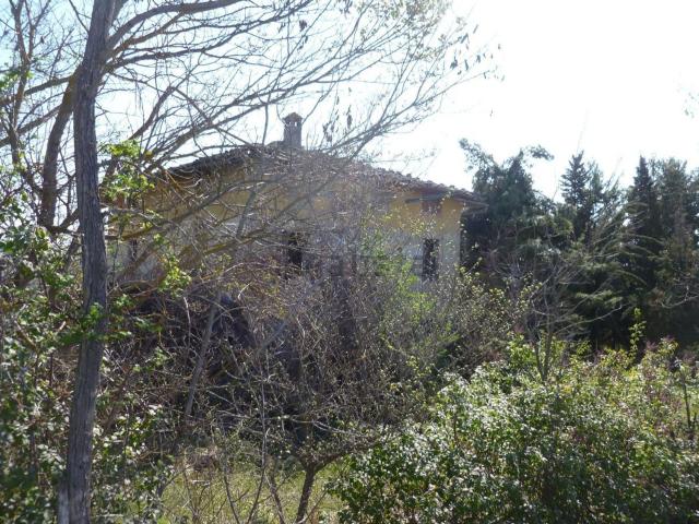 Rustici e casali in vendita di 300 m²