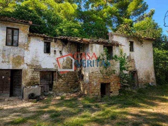 Rustici e casali in vendita di 300 m²