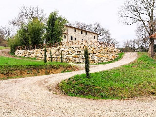 Rustici e casali in vendita di 300 m²