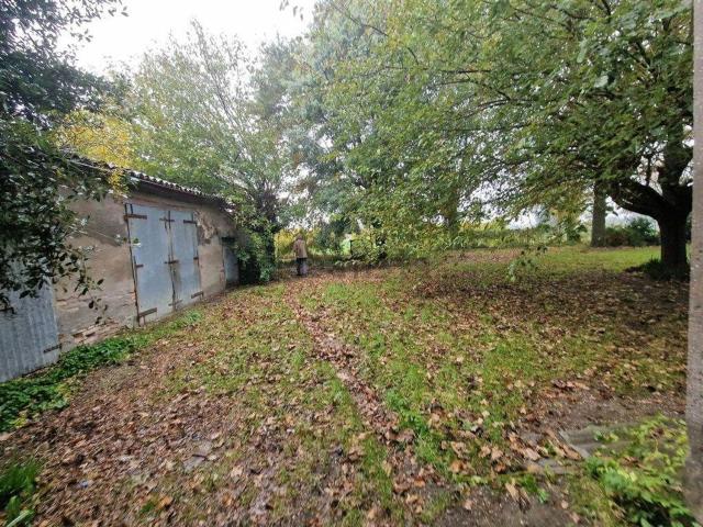 Rustici e casali in vendita di 300 m²