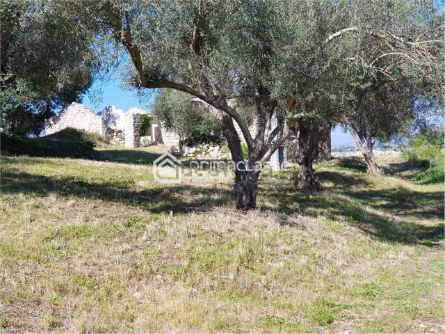 Rustici e casali in vendita di 300 m²