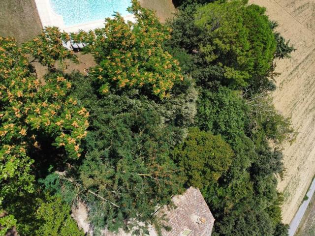 Rustici e casali in vendita di 300 m²