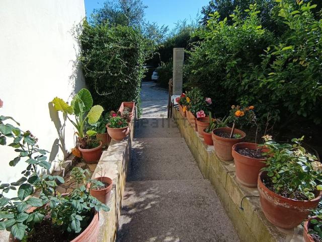 Rustici e casali in vendita di 300 m² in Strada Pescia Fiorentina Chiarone