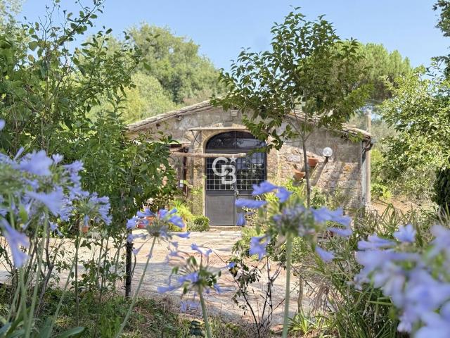 Rustici e casali in vendita di 300 m² in Strada Trinità, 32