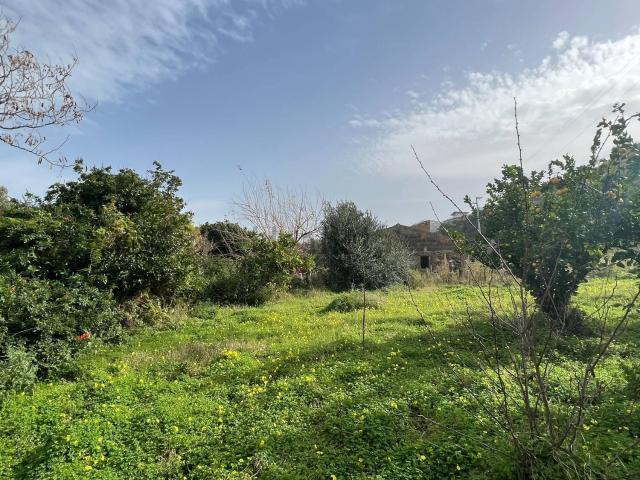 Rustici e casali in vendita di 300 m² in Via Attilio Gasparro