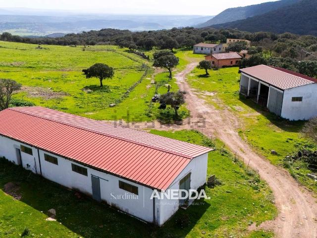 Rustici e casali in vendita di 300 m² in Via Alghero