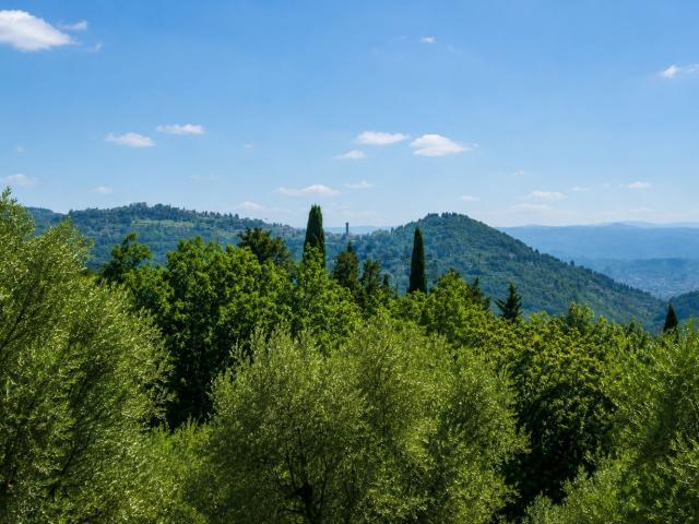 Rustici e casali in vendita di 300 m² in Via Cicaleto