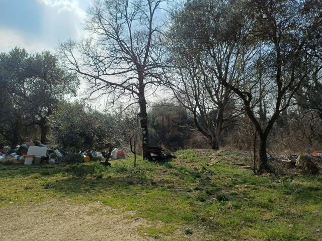 Rustici e casali in vendita di 300 m² in Via Dolci