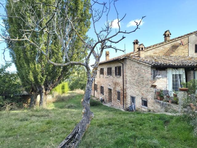 Rustici e casali in vendita di 300 m² in Via Pallino