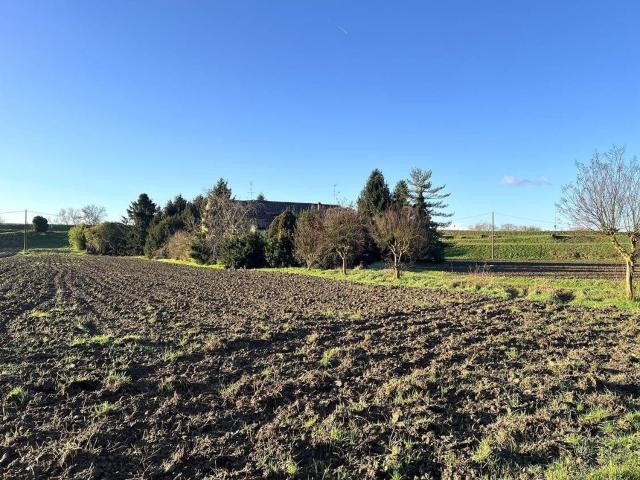 Rustici e casali in vendita di 300 m² in Via Silvio Pellico