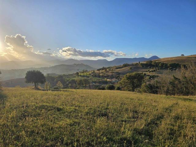 Rustici e casali in vendita di 302 m²