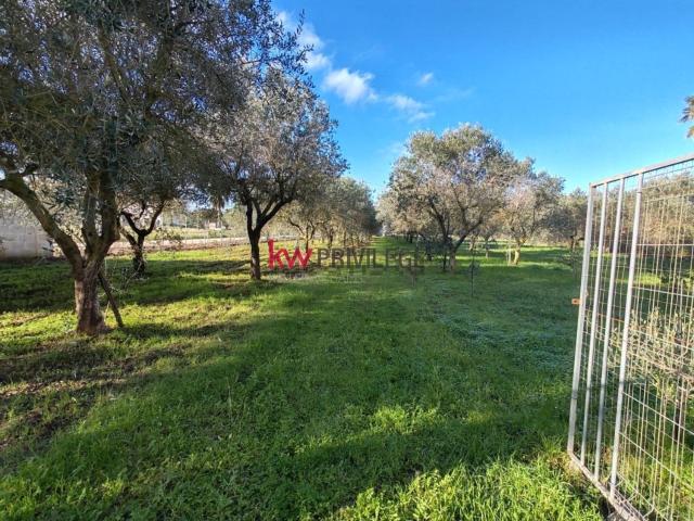 Rustici e casali in vendita di 30 m² in Contrada Regina, 2