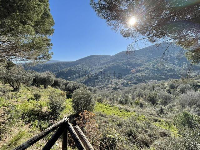 Rustici e casali in vendita di 30 m² in Località Cannatelli