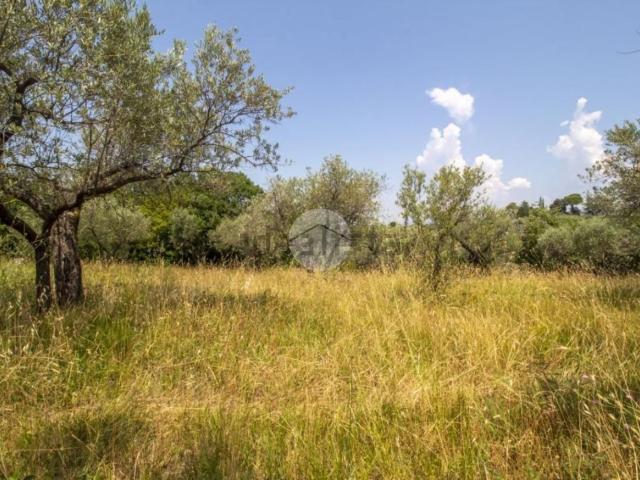 Rustici e casali in vendita di 30 m² in Strada di Rotavello
