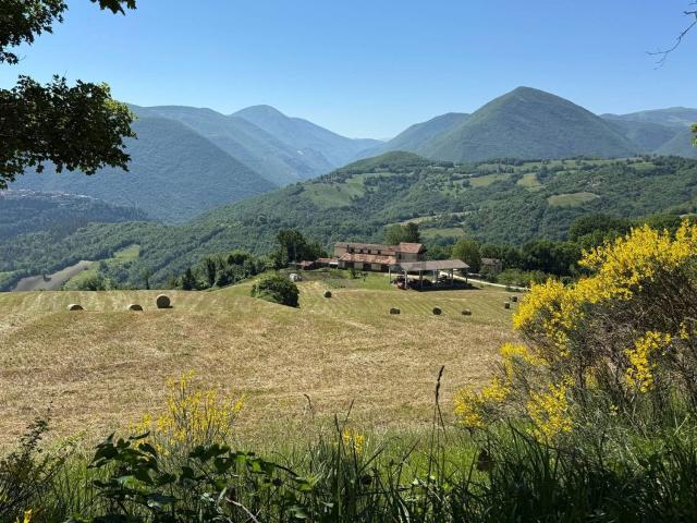 Rustici e casali in vendita di 325 m² in Località Papacqua