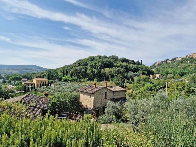 Rustici e casali in vendita di 325 m² in Via delle Colombelle