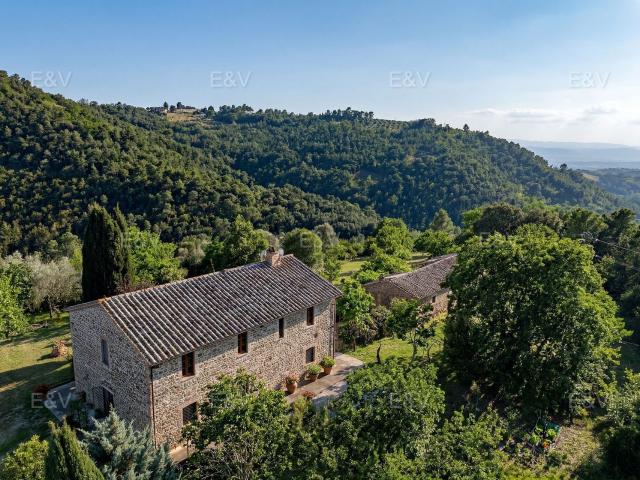 Rustici e casali in vendita di 320 m² in Via Tiberina