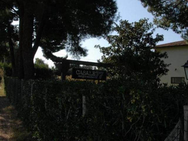 Rustici e casali in vendita di 335 m² in Strada Vicinale dei Pinalti