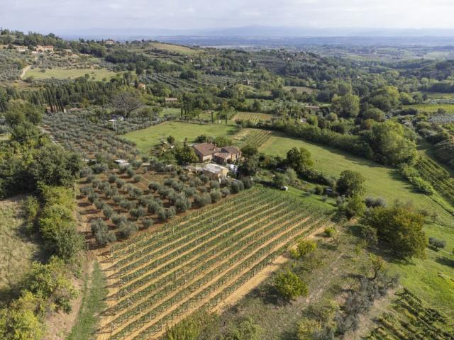 Rustici e casali in vendita di 330 m² in Via di Nibbiano, 7