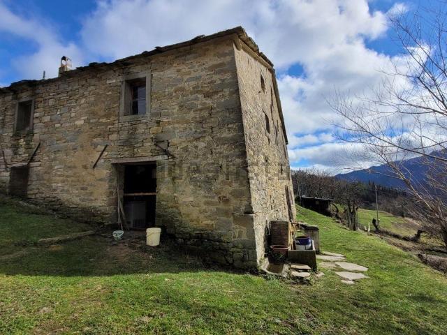 Rustici e casali in vendita di 330 m² in Via della Foresta