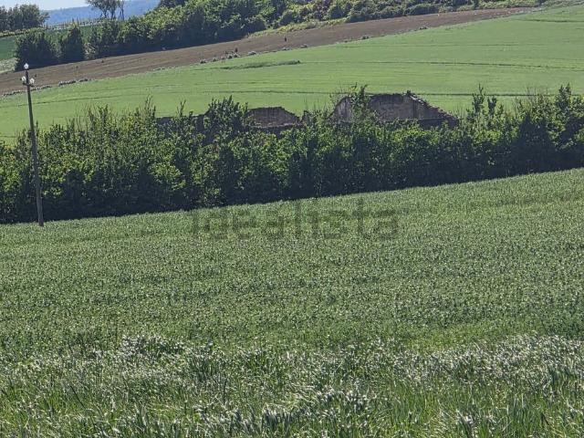 Rustici e casali in vendita di 340 m²