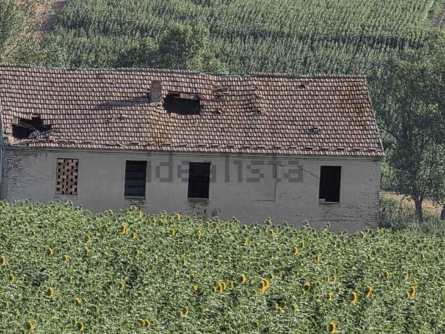 Rustici e casali in vendita di 340 m² in Via del Cipresso