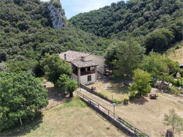 Rustici e casali in vendita di 350 m²