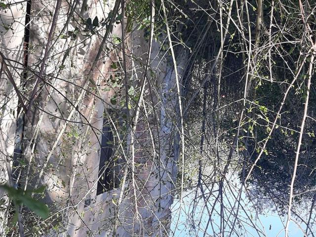 Rustici e casali in vendita di 350 m²