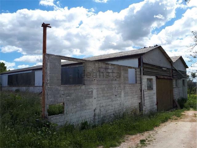 Rustici e casali in vendita di 350 m²