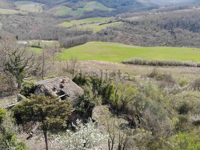 Rustici e casali in vendita di 350 m² in Strada Provinciale 478