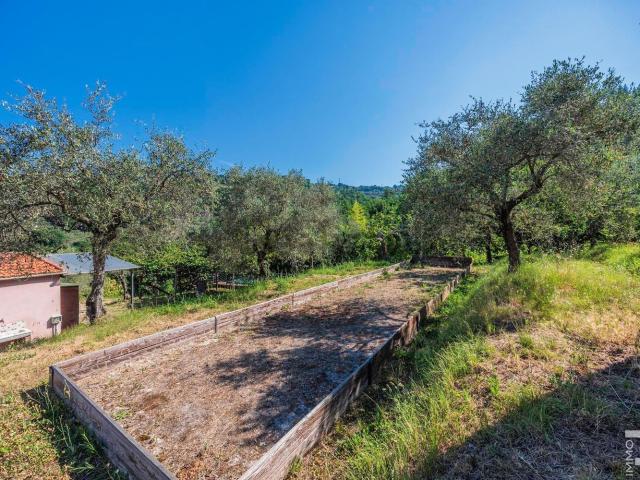 Rustici e casali in vendita di 350 m² in Via Vallacara
