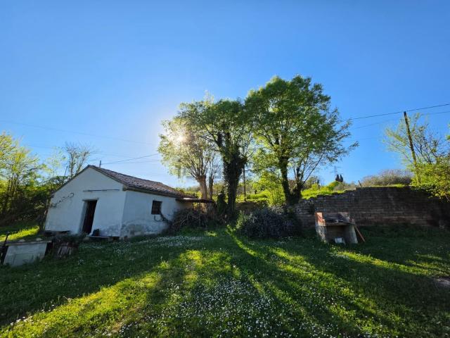 Rustici e casali in vendita di 35 m² in Via della Mola