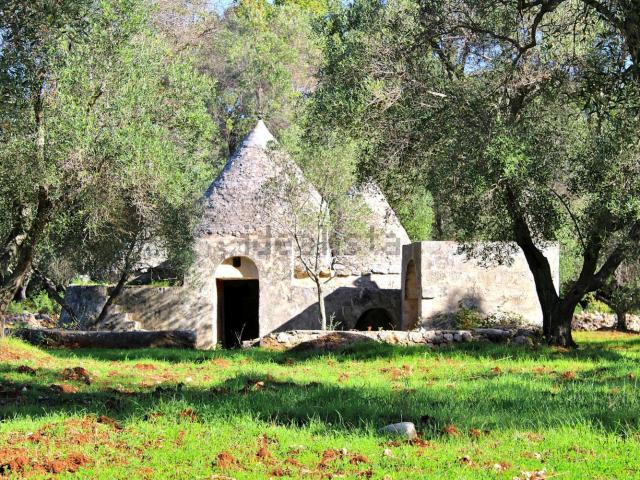Rustici e casali in vendita di 35 m² in Contrada Padula