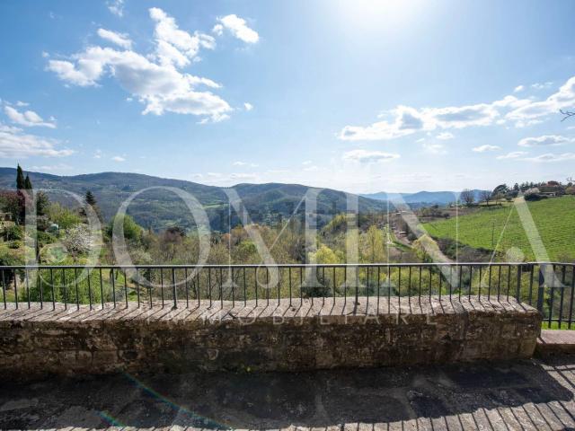 Rustici e casali in vendita di 384 m² in Località Petrognano, 58