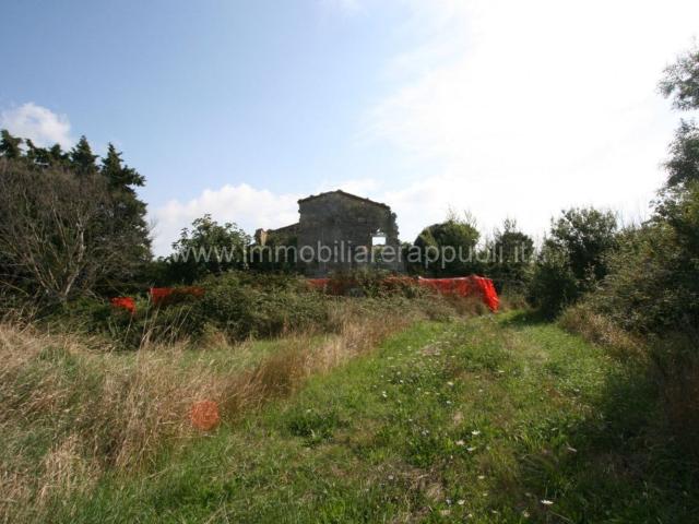 Rustici e casali in vendita di 385 m²